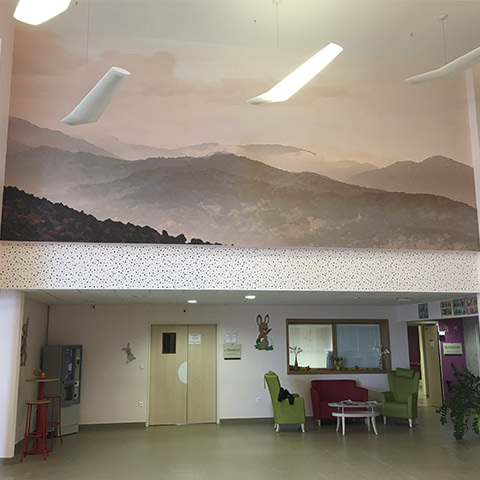 portfolio local_professionnel